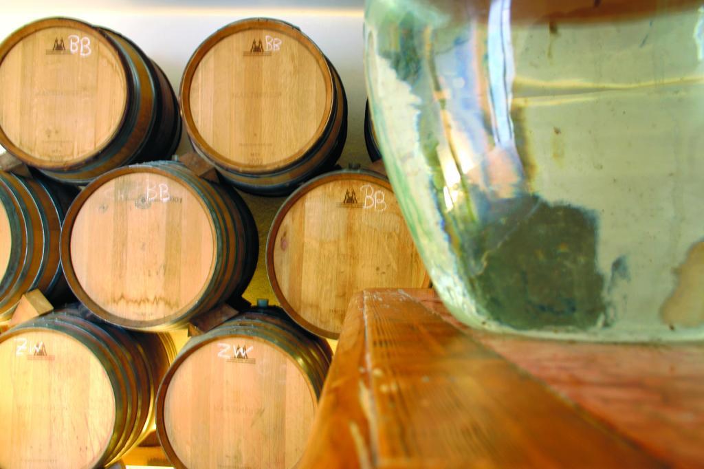Weingut Martinshof Otel Sankt Ulrich  Dış mekan fotoğraf