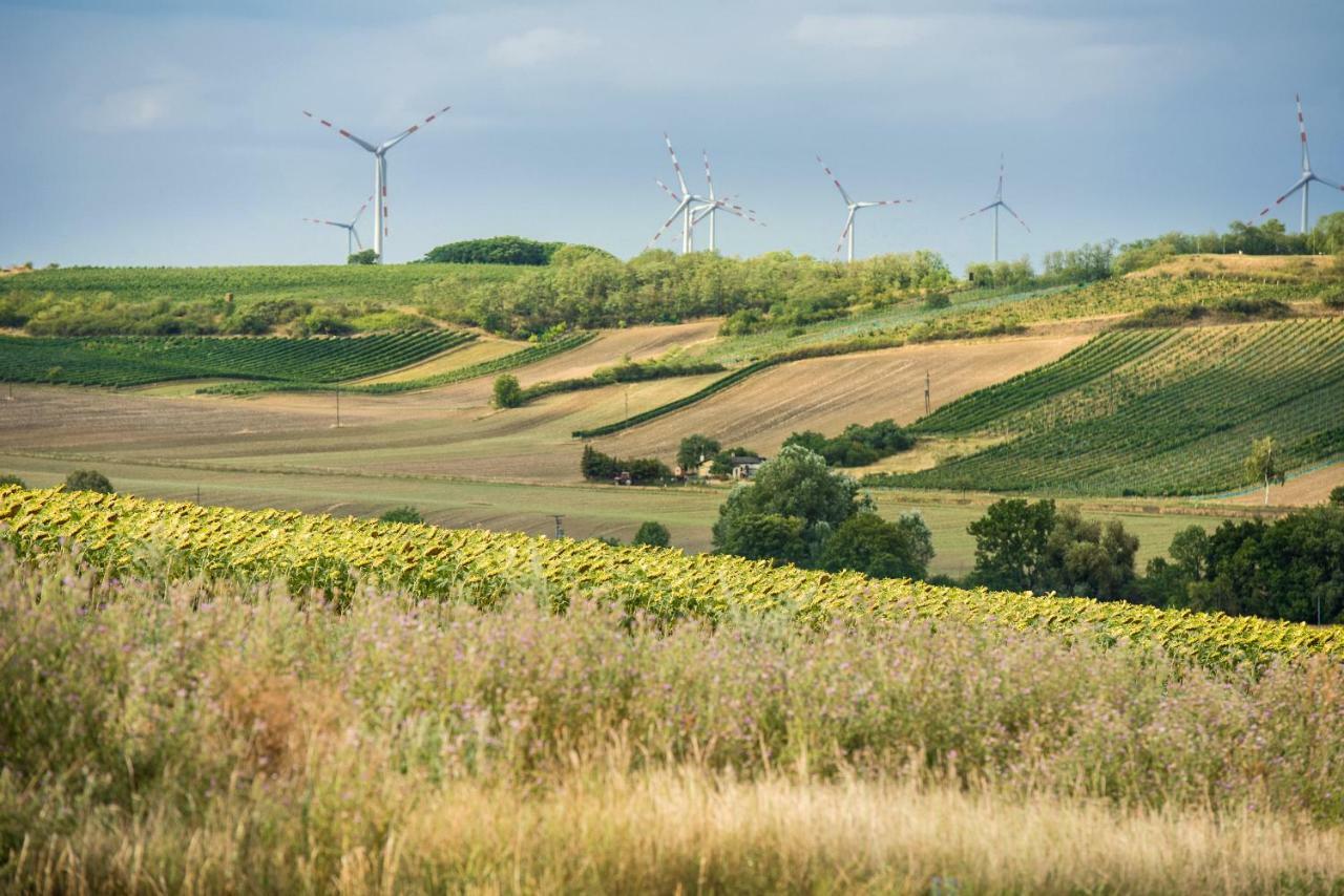 Weingut Martinshof Otel Sankt Ulrich  Dış mekan fotoğraf